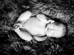 newborn babyfoto13